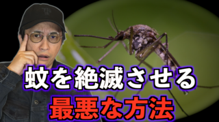 スクリーンショット 2025-02-27 17.30.11.png