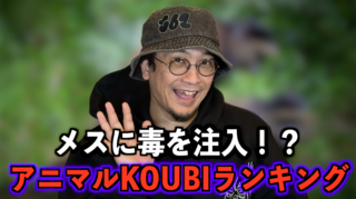 スクリーンショット 2025-04-12 16.10.39.png
