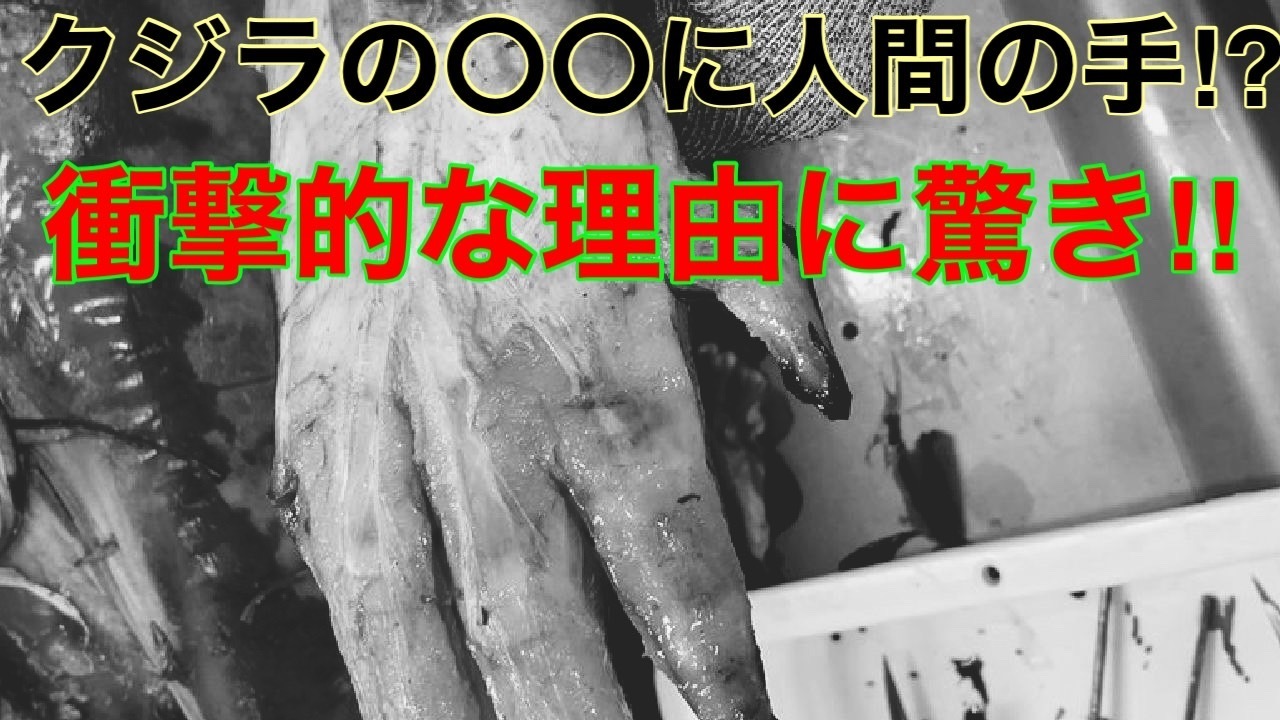 クジラのヒレから５本指の手が見つかる: 都市伝説 オカンとボクと